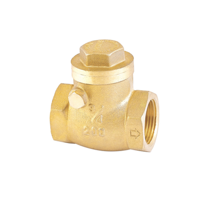 Odporny na korozję jednokierunkowy zawór zwrotny wody 32mm 22mm zawór zwrotny